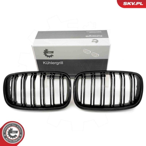 ESEN SKV Kühlergitter