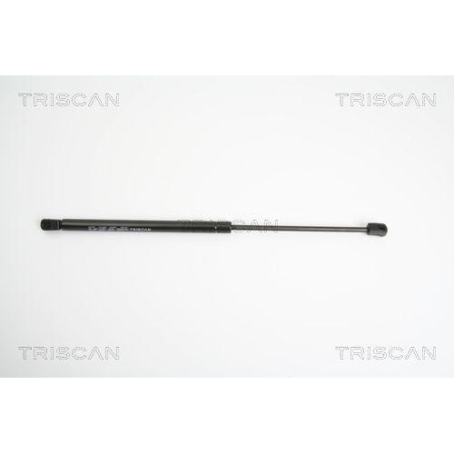TRISCAN Gasfeder, Koffer-/Laderaum 8710 18219