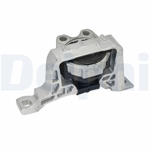 DELPHI Lagerung, Motor TEM169