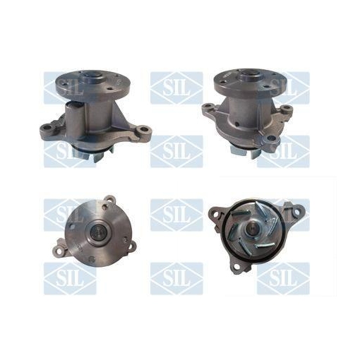 Saleri SIL Wasserpumpe, Motork&uuml;hlung