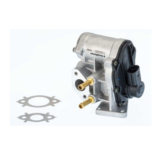 BorgWarner AGR-Ventil 710930D