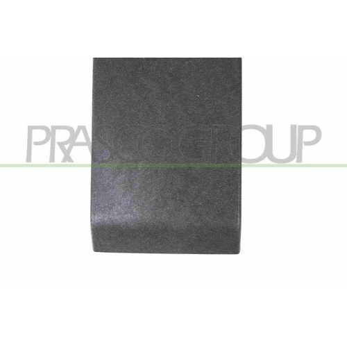 PRASCO Zier-/Schutzleiste, Seitenwand RN9541415