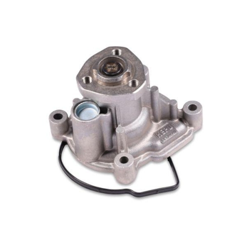 HEPU Wasserpumpe, Motork&uuml;hlung P581