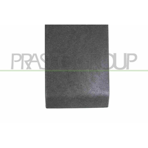 PRASCO Zier-/Schutzleiste, Seitenwand RN9541416