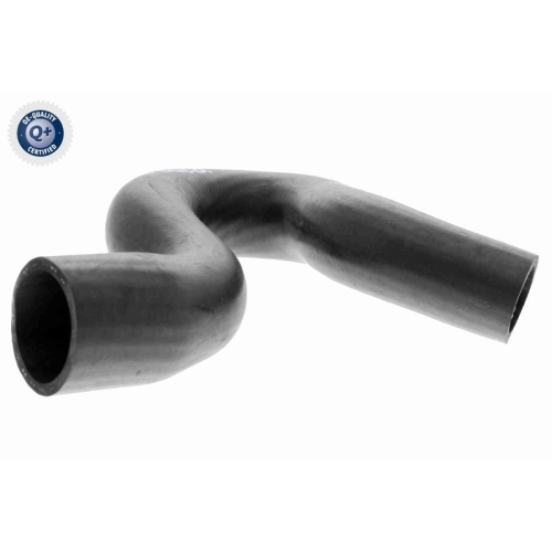 VAICO K&uuml;hlerschlauch Q+, Erstausr&uuml;sterqualit&auml;t V42-0636