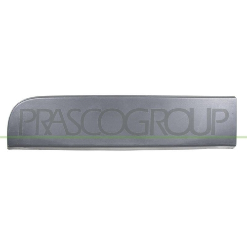 PRASCO Zier-/Schutzleiste, T&uuml;r RN9541457