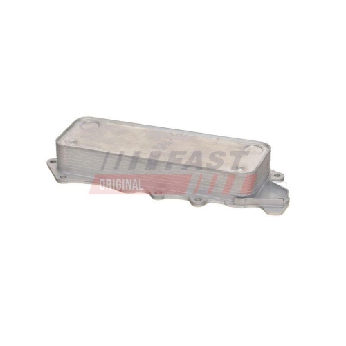 FAST &Ouml;lk&uuml;hler, Motor&ouml;l FT55410