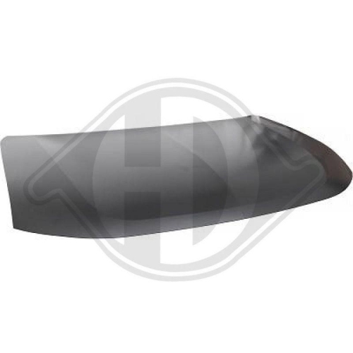 DIEDERICHS Motorhaube 5848800