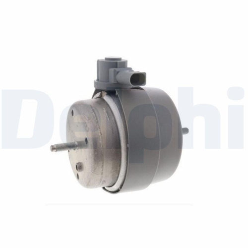 DELPHI Lagerung, Motor TEM238