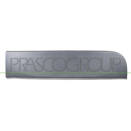 PRASCO Zier-/Schutzleiste, T&uuml;r RN9541458