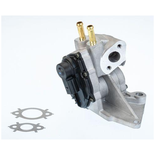 BorgWarner AGR-Ventil 710937D