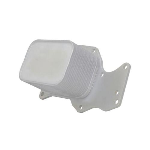 HELLA &Ouml;lk&uuml;hler, Motor&ouml;l 8MO 366 360-651