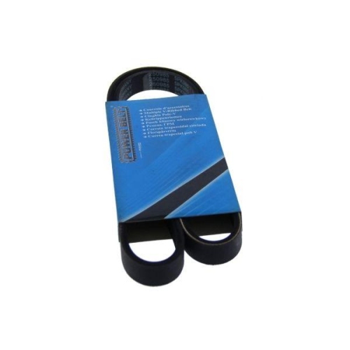 MAPCO Keilrippenriemen 250985