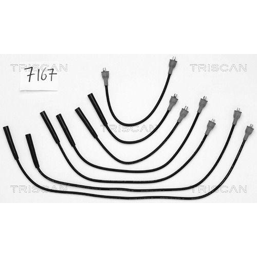 TRISCAN Z&uuml;ndleitungssatz