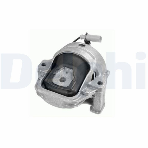 DELPHI Lagerung, Motor TEM246