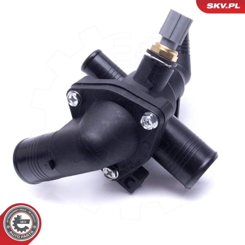 ESEN SKV Thermostat, K&uuml;hlmittel 20SKV191