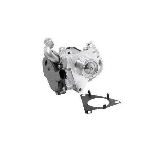 BorgWarner AGR-Ventil 72147560D