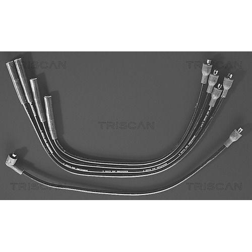 TRISCAN Z&uuml;ndleitungssatz