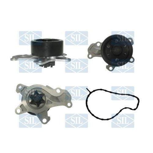 Saleri SIL Wasserpumpe, Motork&uuml;hlung PA1617