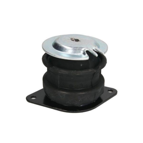 REINHOCH Lagerung, Motor RH11-0057
