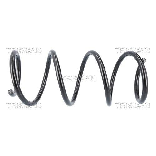 TRISCAN Fahrwerksfeder 8750 13256