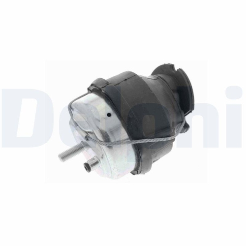 DELPHI Lagerung, Motor TEM248