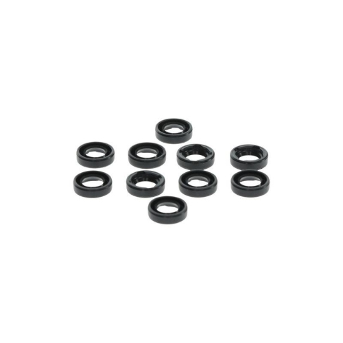 BOSCH Dichtring 0 029 620 805