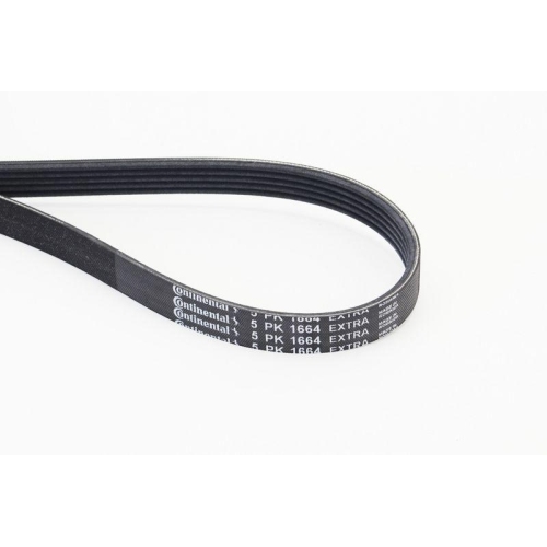 CONTINENTAL CTAM Keilrippenriemen 5PK1664 EXTRA