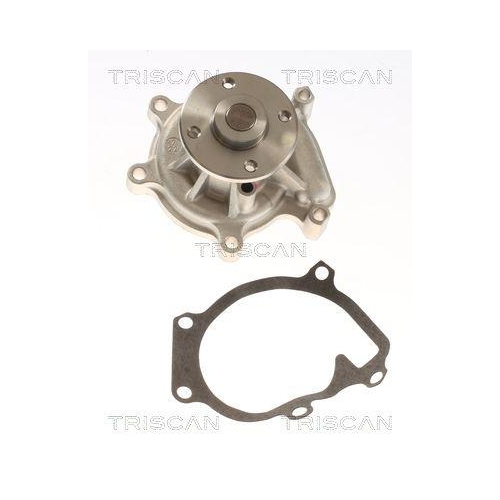 TRISCAN Wasserpumpe, Motork&uuml;hlung 8600 13013