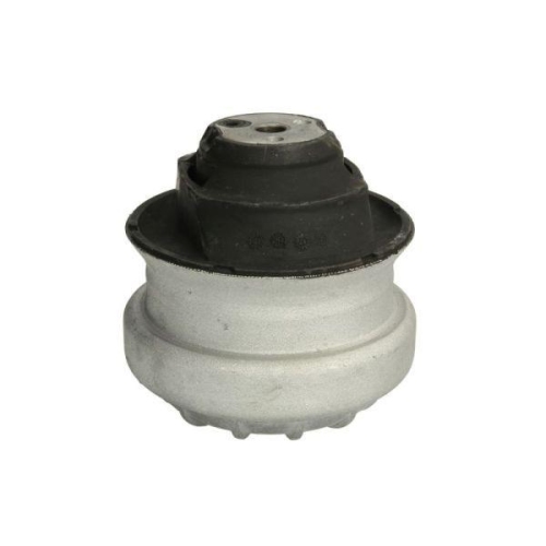 REINHOCH Lagerung, Motor RH11-3000