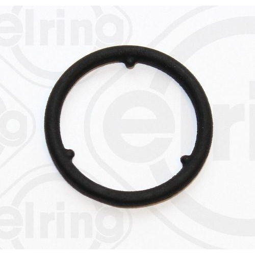 ELRING Dichtring, &Ouml;lpumpe 077.300