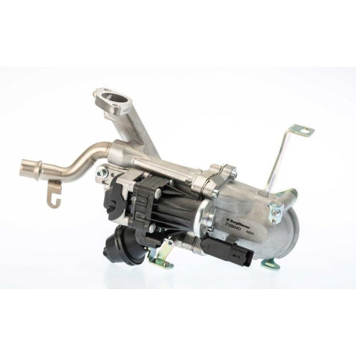 BorgWarner AGR-Modul 710944D