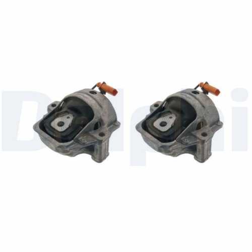 DELPHI Lagerung, Motor TEM269