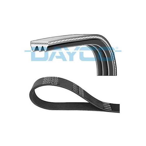 DAYCO Keilrippenriemen 3PK736