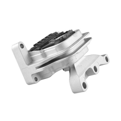 TEDGUM Lagerung, Motor