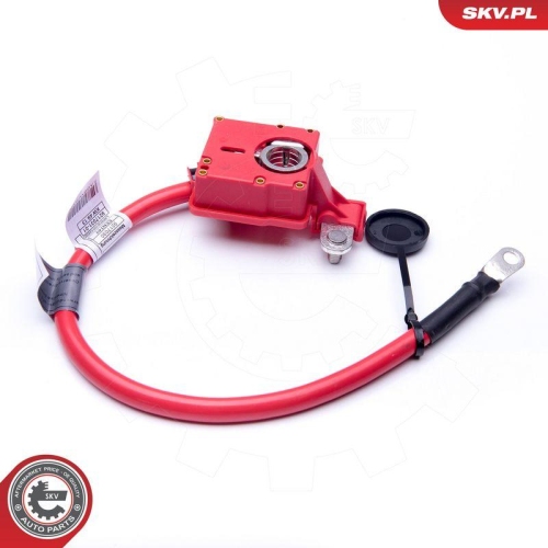 ESEN SKV Batterieadapter 96SKV302