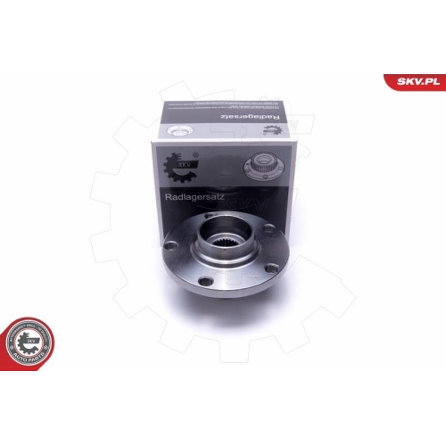 ESEN SKV Radlagersatz