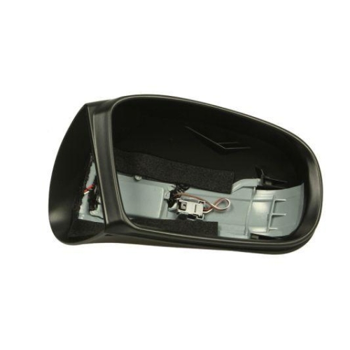 BLIC Gehäuse, Außenspiegel 6103-01-1322794P