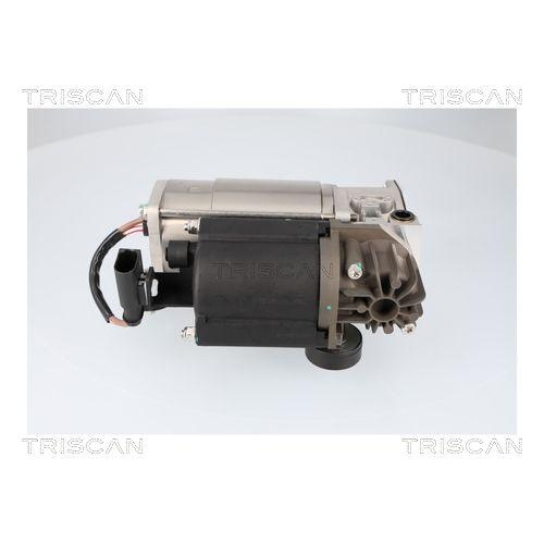 TRISCAN Kompressor, Druckluftanlage 8725 15001