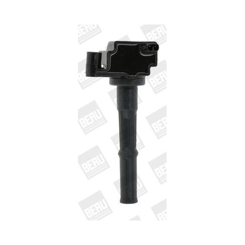 BorgWarner (BERU) Z&uuml;ndspule ZS473