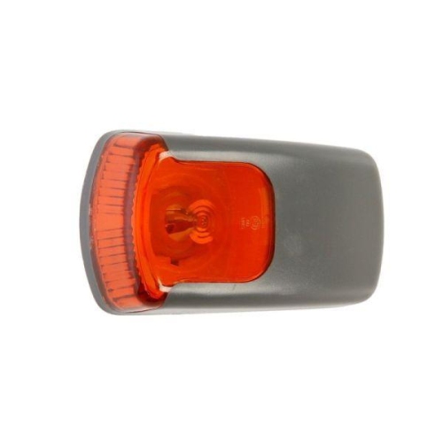 TRUCKLIGHT Blinkleuchte CL-ME007