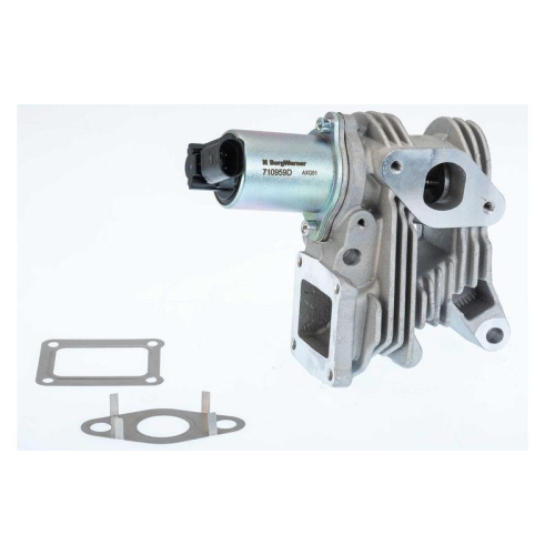 BorgWarner AGR-Ventil 710959D