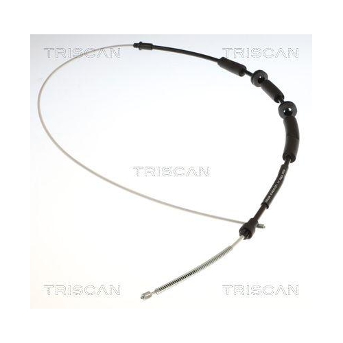 TRISCAN Seilzug, Feststellbremse