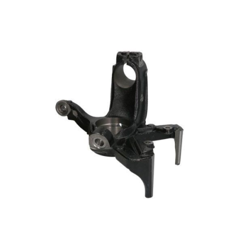 REINHOCH Achsschenkel, Radaufhängung RH08-0015