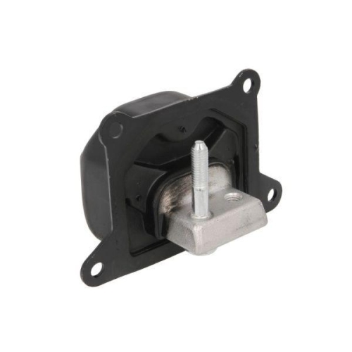 REINHOCH Lagerung, Motor RH11-5024