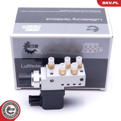 ESEN SKV Ventil, Druckluftanlage 93SKV807