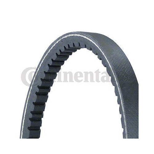 CONTINENTAL CTAM Keilriemen 11.5X755