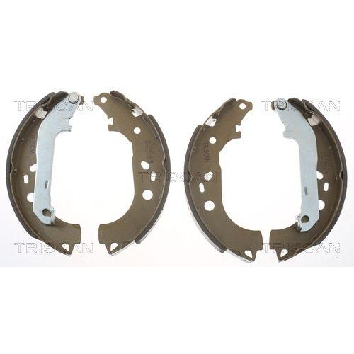 TRISCAN Bremsbackensatz 8100 16011