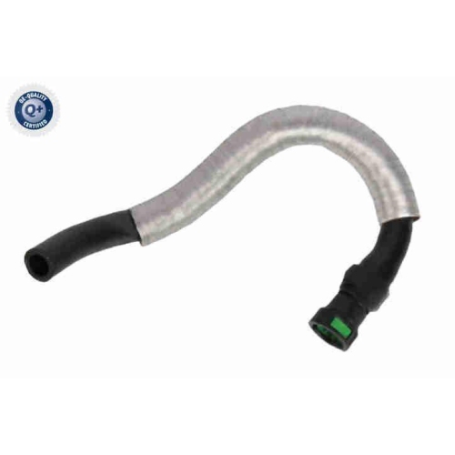 VAICO K&uuml;hlerschlauch Q+, Erstausr&uuml;sterqualit&auml;t V25-2558