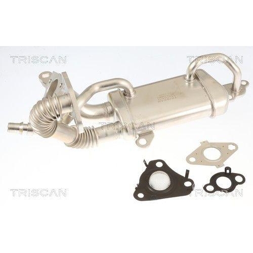 TRISCAN K&uuml;hler, Abgasr&uuml;ckf&uuml;hrung 8813 10061